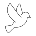 A line art bird